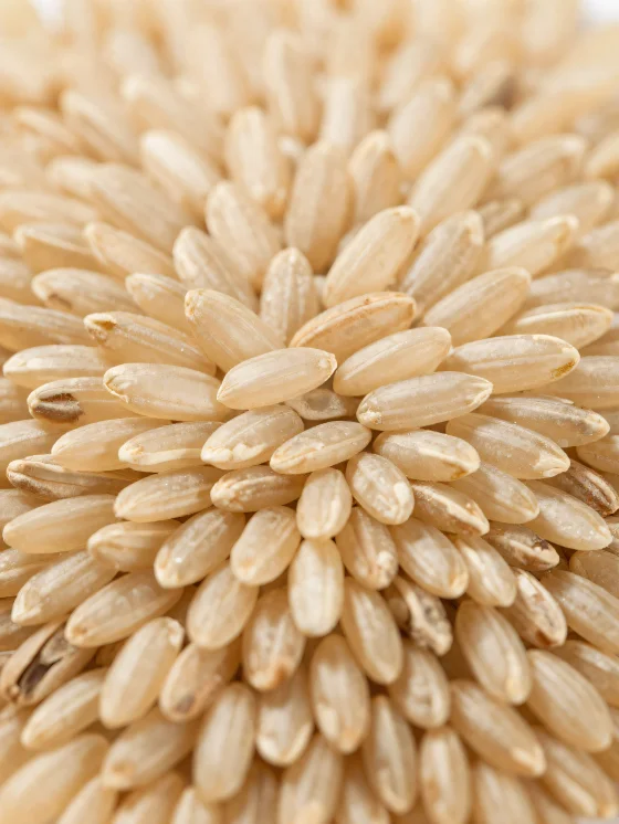 Grãos de arroz integral cru em tigela rústica na bancada da cozinha